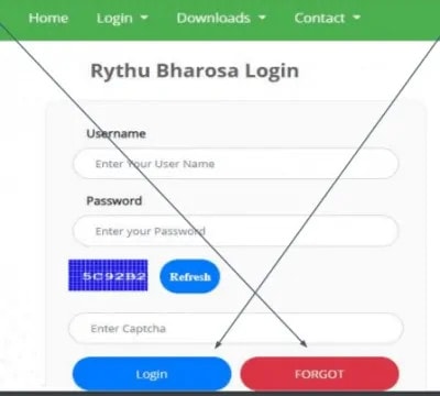 How To Check List