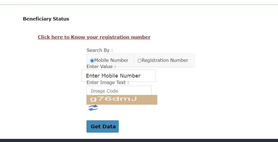 Beneficiary Status