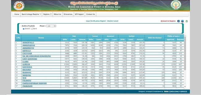 Find Loan Verification Report