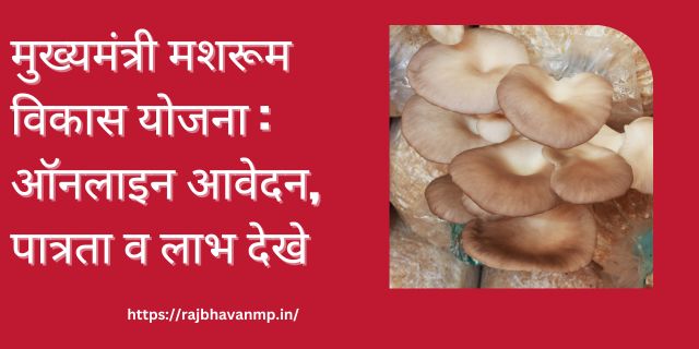 Mukhyamantri Mushroom Vikas Yojana 