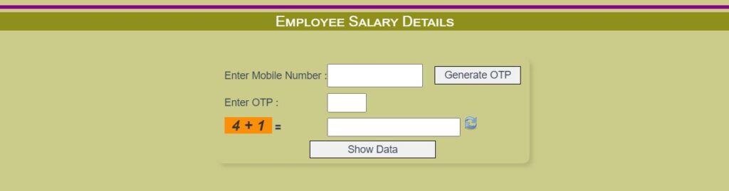 Employee Salary Details