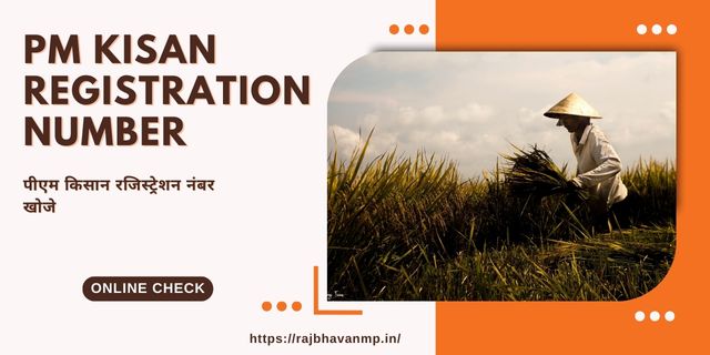 PM Kisan Registration Number 