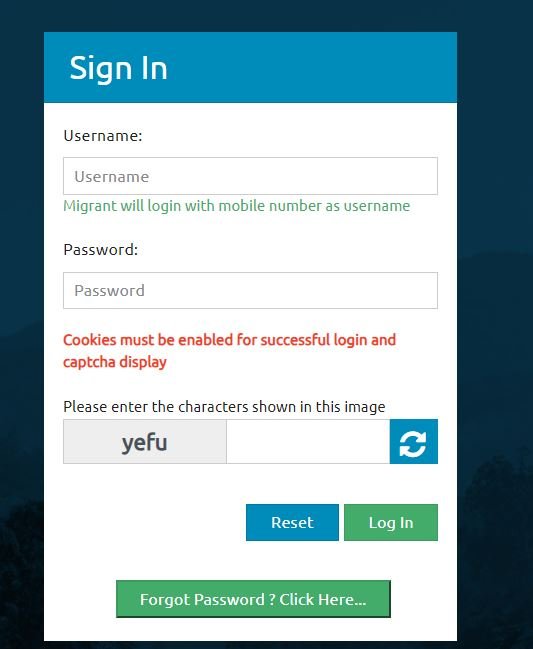 Login Form