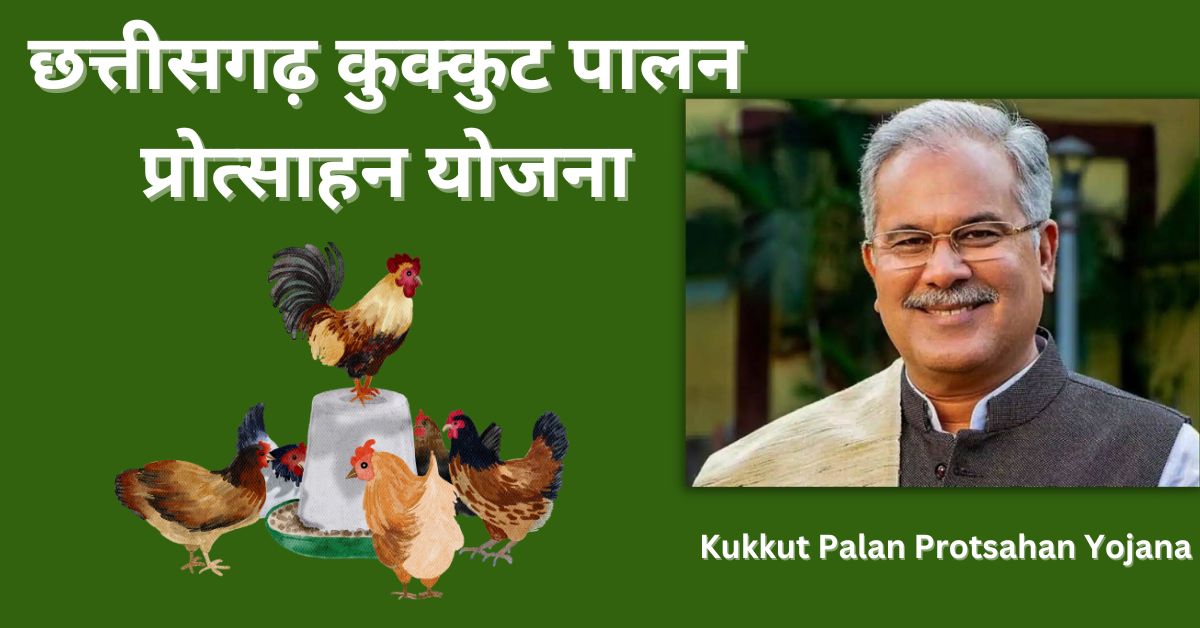 Chattisgarh Kukkut Palan Protsahan Yojana