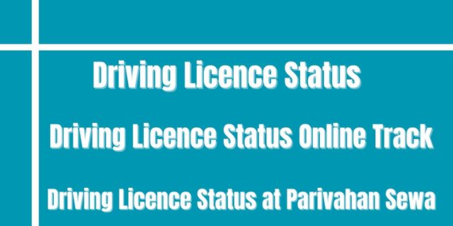 Driving Licence Status