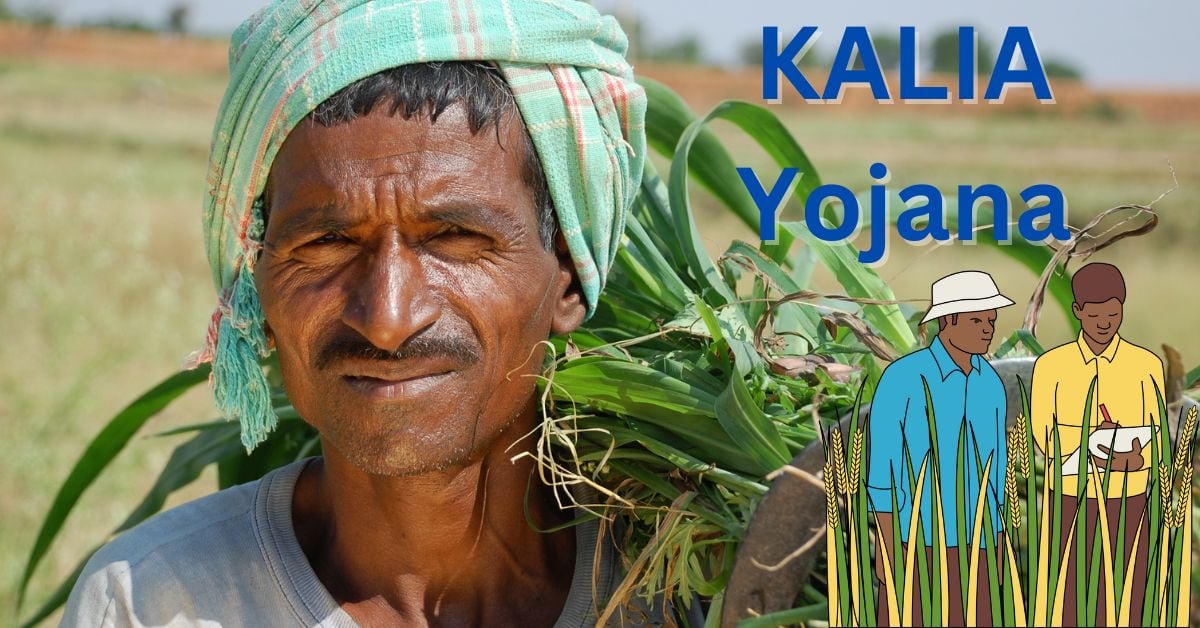 KALIA Yojana